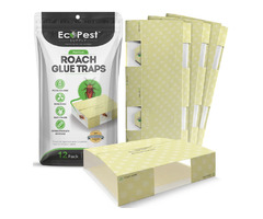 Cockroach Glue Traps for Home Defense! | free-classifieds-usa.com - 1