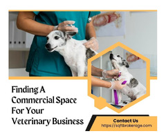 Finding A Commercial Space For Your Veterinary Business | free-classifieds-usa.com - 1