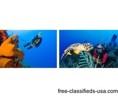 Catalina Island Excursion In Punta Cana | free-classifieds-usa.com - 1