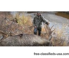 Alaska Moose Hunting | free-classifieds-usa.com - 1