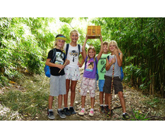 Make An Unforgettable Maui Road Trip This Vacation with Experts | free-classifieds-usa.com - 3
