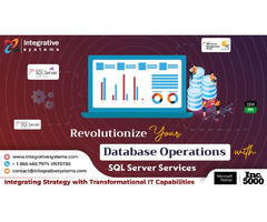 Boost Your ROI with SQL Server Consultants | free-classifieds-usa.com - 1