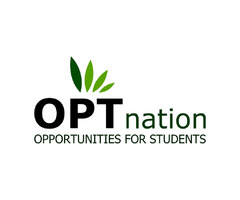 How do OPT Students in the USA Apply to Full Time Jobs? | free-classifieds-usa.com - 1