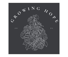 House Plant Seeds | Growing Hope | free-classifieds-usa.com - 1
