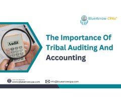Empowering Your Finances | Blue Arrow CPAs Tribal Accounting Services | free-classifieds-usa.com - 1