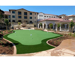 Professional Turf Installation Services | Creative Turf Install | free-classifieds-usa.com - 1