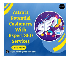 Attract Potential Customers With Expert SEO Services | free-classifieds-usa.com - 1