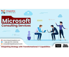 Professional Microsoft Consulting Services  | free-classifieds-usa.com - 1