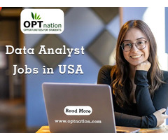 Where Can I Find Data Analyst Jobs? OPTnation | free-classifieds-usa.com - 1