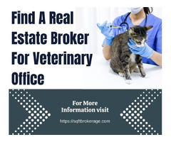 Find A Real Estate Broker For Veterinary Office | free-classifieds-usa.com - 1