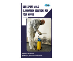 Get Expert Mold Elimination Solutions for Your House | free-classifieds-usa.com - 1