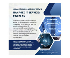 Unlock Success with ECF Data's Managed IT Services Pro Plan | free-classifieds-usa.com - 1