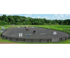 Unleash Your Inner Equestrian: Beginner Horseback Lessons at Seaton Hackney | free-classifieds-usa.com - 1
