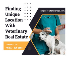 Finding Unique Location With Veterinary Real Estate | free-classifieds-usa.com - 1