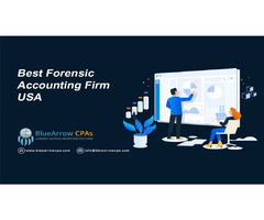 Are you looking for a Forensic Accounting Service provider| BlueArrow CPAs | free-classifieds-usa.com - 1