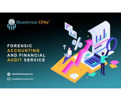 Looking for a Forensic Accounting and Financial Audit Services| BlueArrow CPAs | free-classifieds-usa.com - 1