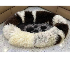 Sheepskin beds for large dogs – up to 100 cm! | free-classifieds-usa.com - 3