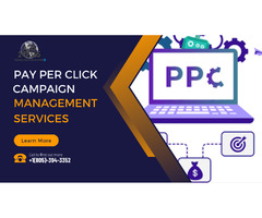 Understand The PPC Campaign Management Services Better? | free-classifieds-usa.com - 1