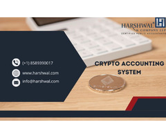 Crypto Accounting System for your business’s complete security | free-classifieds-usa.com - 1