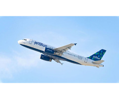 JetBlue Airlines Flight Booking | free-classifieds-usa.com - 1