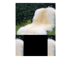 Long-haired Dutch sheepskin XXL | free-classifieds-usa.com - 3