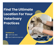 Find The Ultimate Location For Your Veterinary Practices | free-classifieds-usa.com - 1