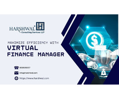 Choose the best Virtual Finance Manager for your business | free-classifieds-usa.com - 1
