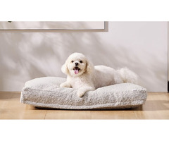 Give Your Furry Friend the Gift of Comfort with our Premium Dog Beds | free-classifieds-usa.com - 1