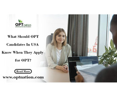 What Should OPT Candidates In USA Know When They Apply for OPT? | free-classifieds-usa.com - 1