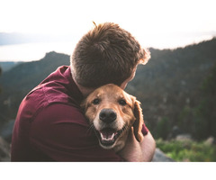 Get Your Legit Emotional Support Animal Letter in Oklahoma | free-classifieds-usa.com - 1