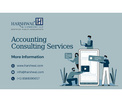 Insights of Accounting Consulting Services | free-classifieds-usa.com - 1