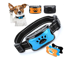 Effective and Humane Anti-Bark Dog Collars for Peaceful Living	 | free-classifieds-usa.com - 1