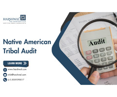 Hire a Native American Tribal Auditing services expert for accuracy | free-classifieds-usa.com - 1