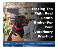 Finding The Right Real Estate Broker For Your Veterinary Practice | free-classifieds-usa.com - 1