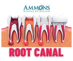 Ammons Dental by Design Camden | free-classifieds-usa.com - 1