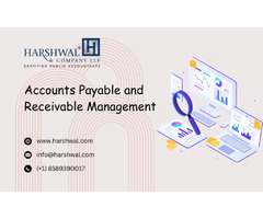 Accounts Payable and Receivable services for financial vitality | free-classifieds-usa.com - 1