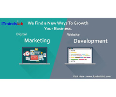 Boost Your Business, Dominate the Digital World with IT Mindslab! | free-classifieds-usa.com - 1