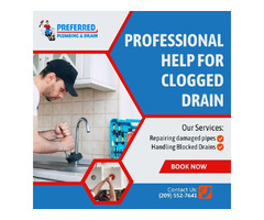 Professional Help For Clogged Drain | free-classifieds-usa.com - 1