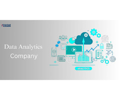 Data Analytics Company – Xonique | free-classifieds-usa.com - 1