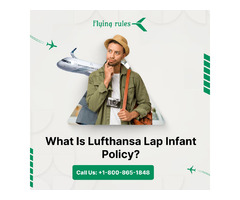 What Is Lufthansa Lap Infant Policy? | free-classifieds-usa.com - 1