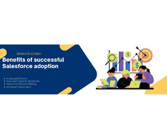 Benefits of Successful Salesforce Adoption | free-classifieds-usa.com - 1