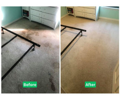 Discover the Carpet Cleaning Excellence in Lehigh Acres FL | free-classifieds-usa.com - 1