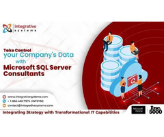 Looking for Microsoft SQL Server Services? | free-classifieds-usa.com - 1