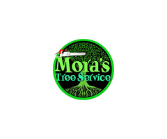  Mora's Tree Service LLC | free-classifieds-usa.com - 1