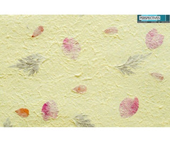Secure Adhesion: Wallpaper Paste Solutions in Lexington | free-classifieds-usa.com - 1