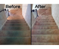 Cape Coral's Carpet Cleaning Specialists! | free-classifieds-usa.com - 1
