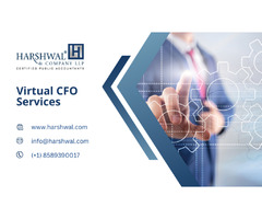 Best Virtual CFO Services for Modern Businesses | free-classifieds-usa.com - 1