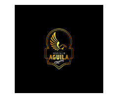 Mariachi Aguila DC Internacional | free-classifieds-usa.com - 1