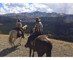 Explore Colorado on Horseback | Trail Riding Adventures Await! | free-classifieds-usa.com - 1