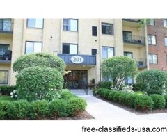 2 Bedroom apartment | free-classifieds-usa.com - 1